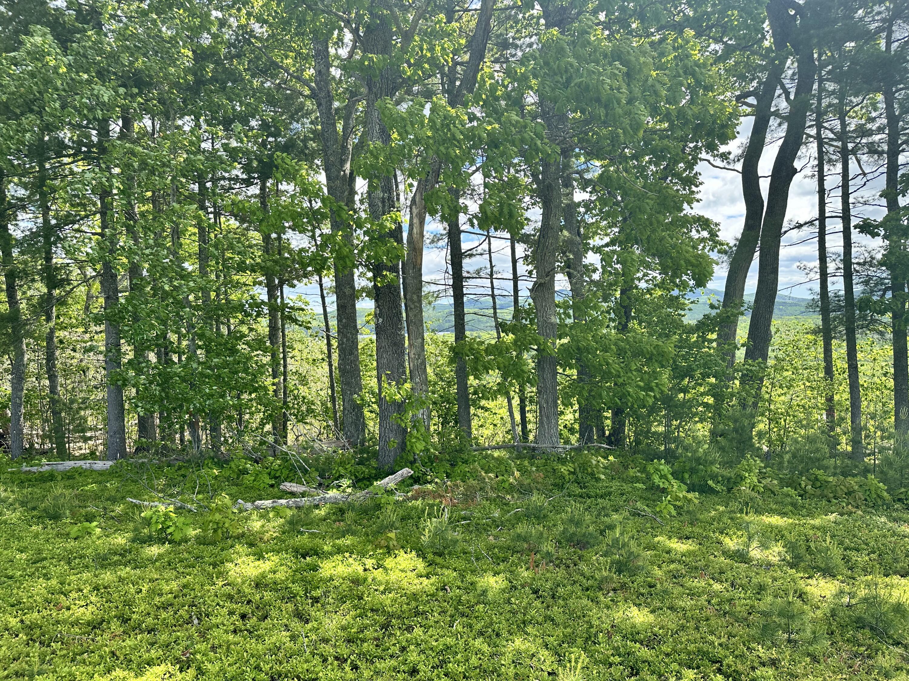 983 Barrett Hill Road Union, ME 04862 - Photo 9 of 38 IMG_9850