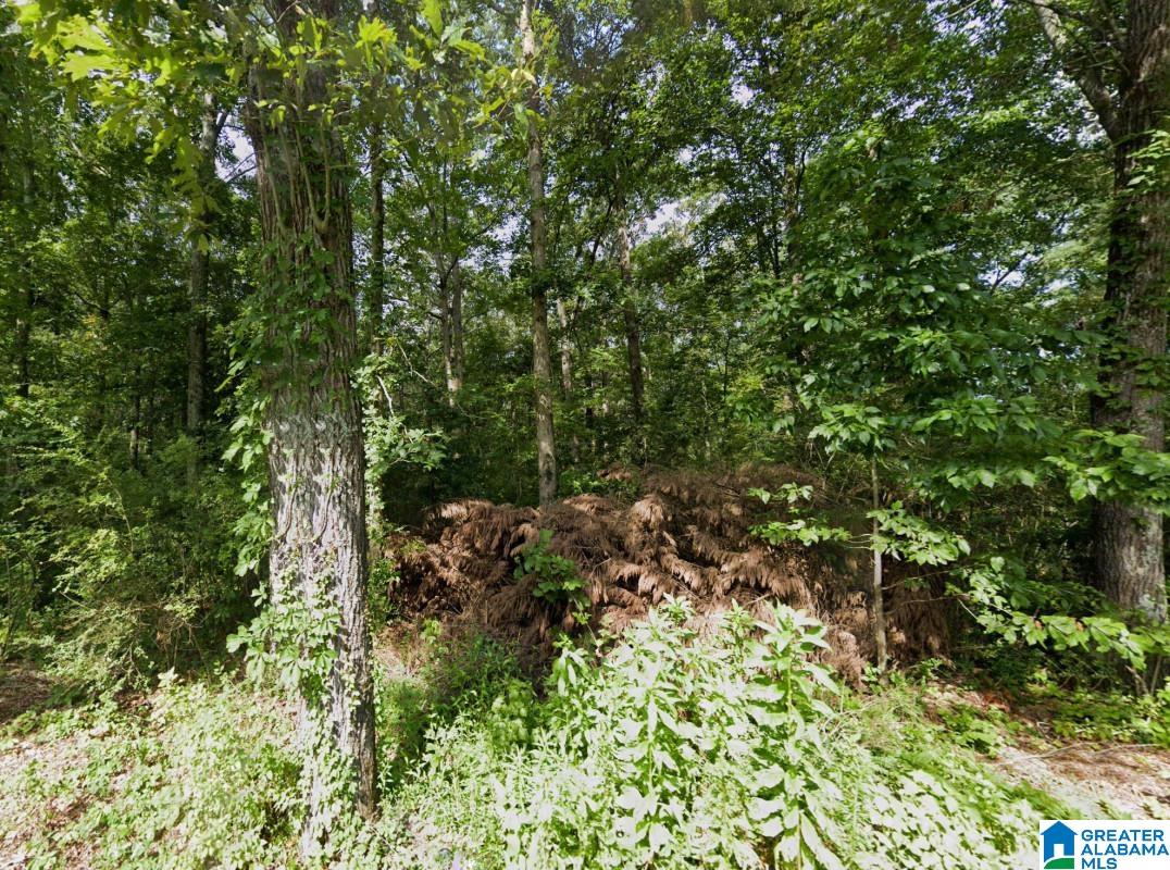 0 Bron Holmes Road Falkville, AL 35622 - Photo 8 of 14