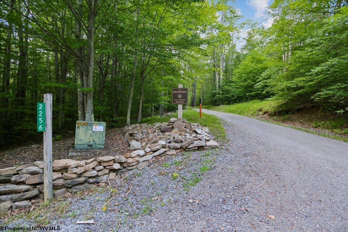2256 Cabin Mountain Road Davis, WV 26260 - Photo 38 of 43 Gallery Image 38