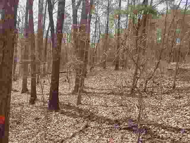 31 Breezy Point Road Hartwell, GA 30643 - Photo 5 of 6 Gallery Image 5