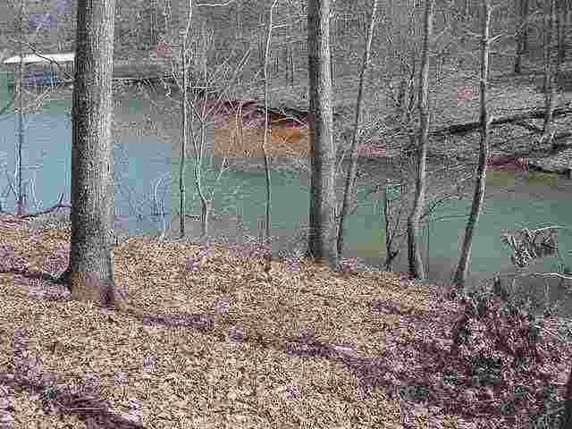 31 Breezy Point Road Hartwell, GA 30643 - Photo 6 of 6 Gallery Image 6