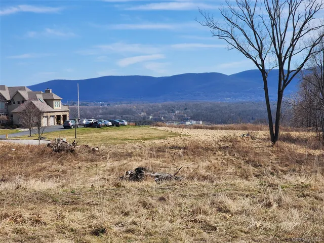 a view of a backyard with mountain view