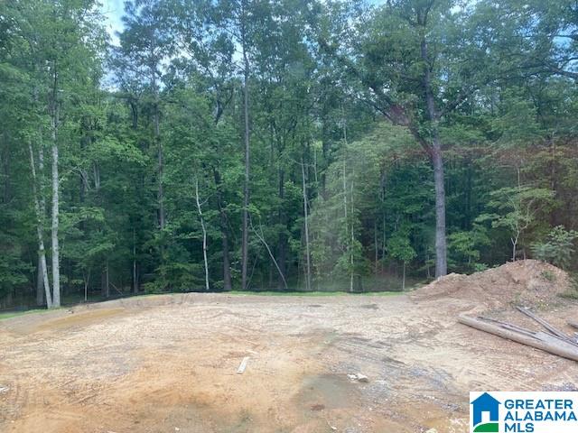 613 Ridgeview Trail Pelham, AL 35124 - Photo 9 of 10