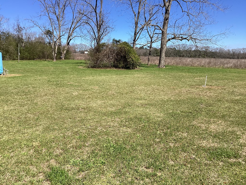0 Benton Store Road Columbia, AL 36319 - Photo 10 of 24