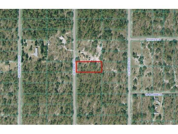 Lot 33 Southwest Lot Road Dunnellon, FL 34431 - Photo 1 of 1 Primary Photo