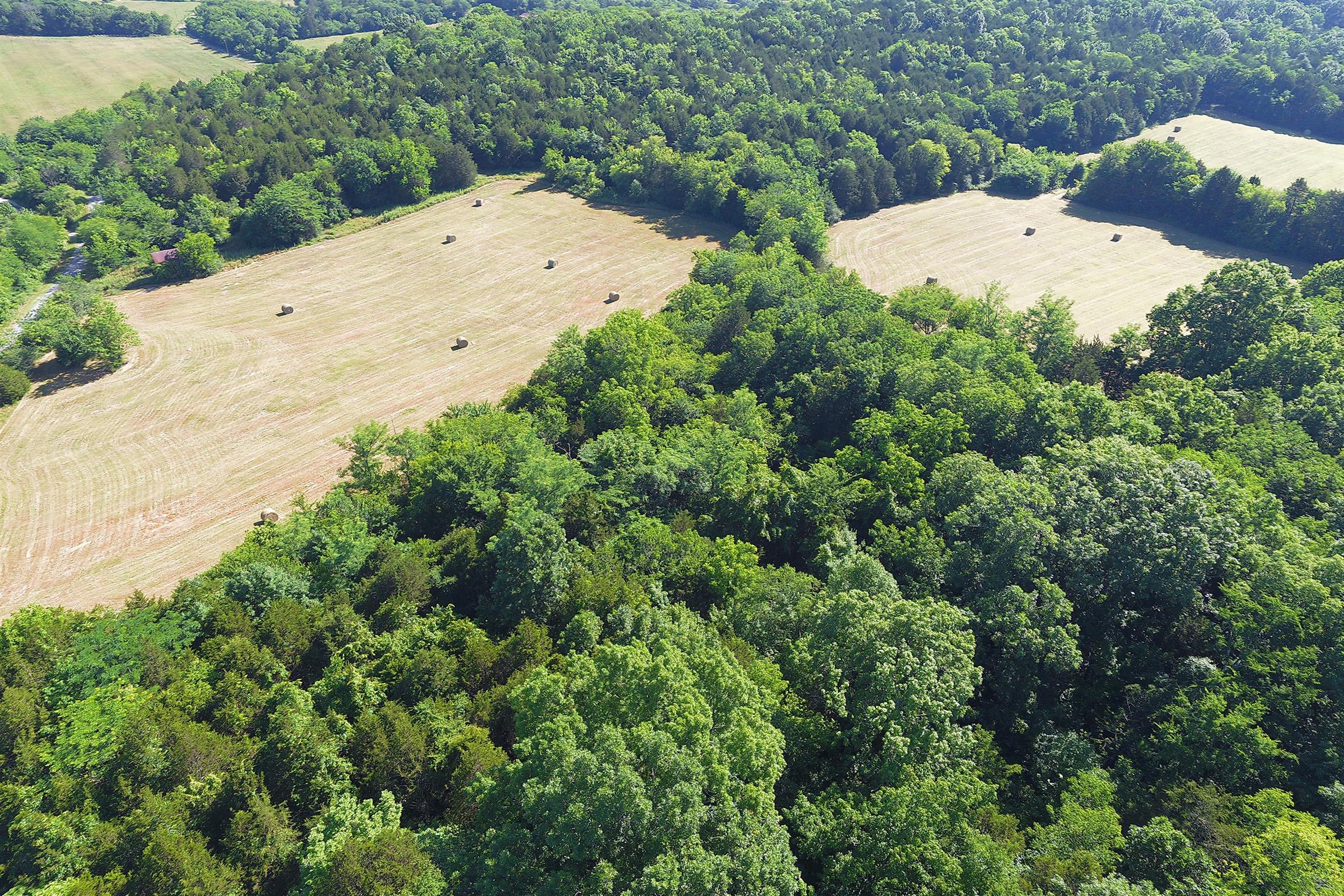 0 Wabash Road Lynchburg, TN 37352 - Photo 4 of 8 Gallery Image 4