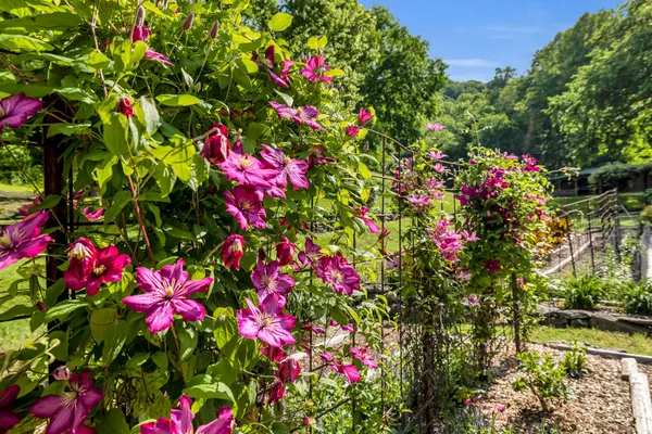 $1,495,000 | 27 Bussell Road, Carthage, TN 37030