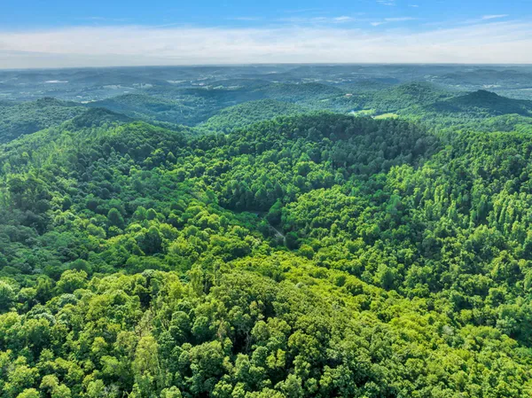 $1,495,000 | 27 Bussell Road, Carthage, TN 37030