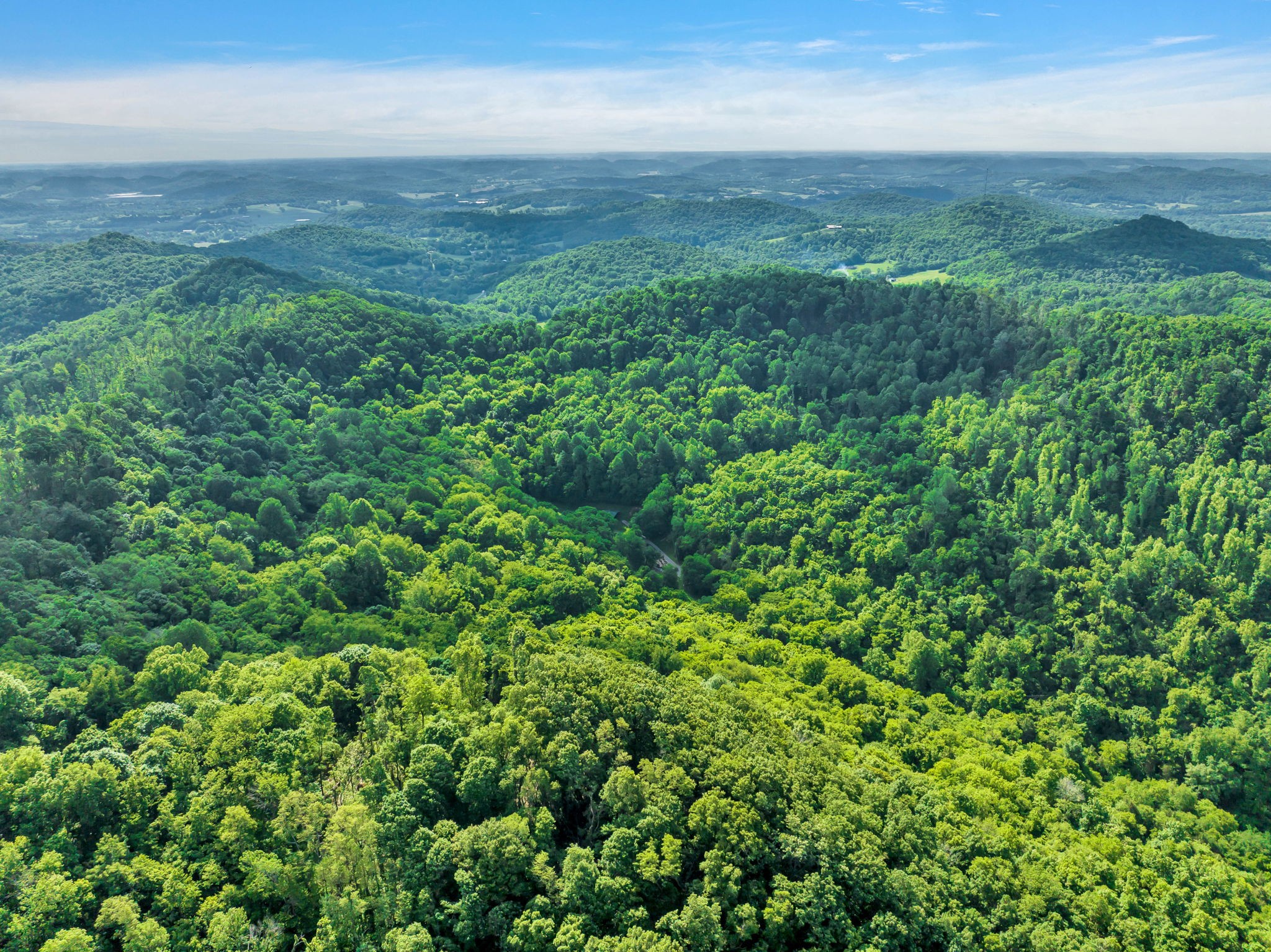 27 Bussell Road Carthage, TN 37030 - Photo 87 of 100