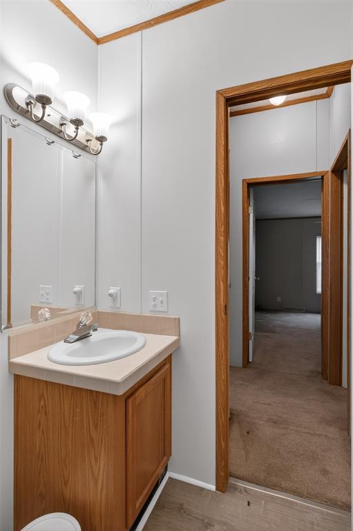 1202 Princeton Road Princeton, LA 71067 - Photo 29 of 32 a bathroom with a sink vanity and a mirror