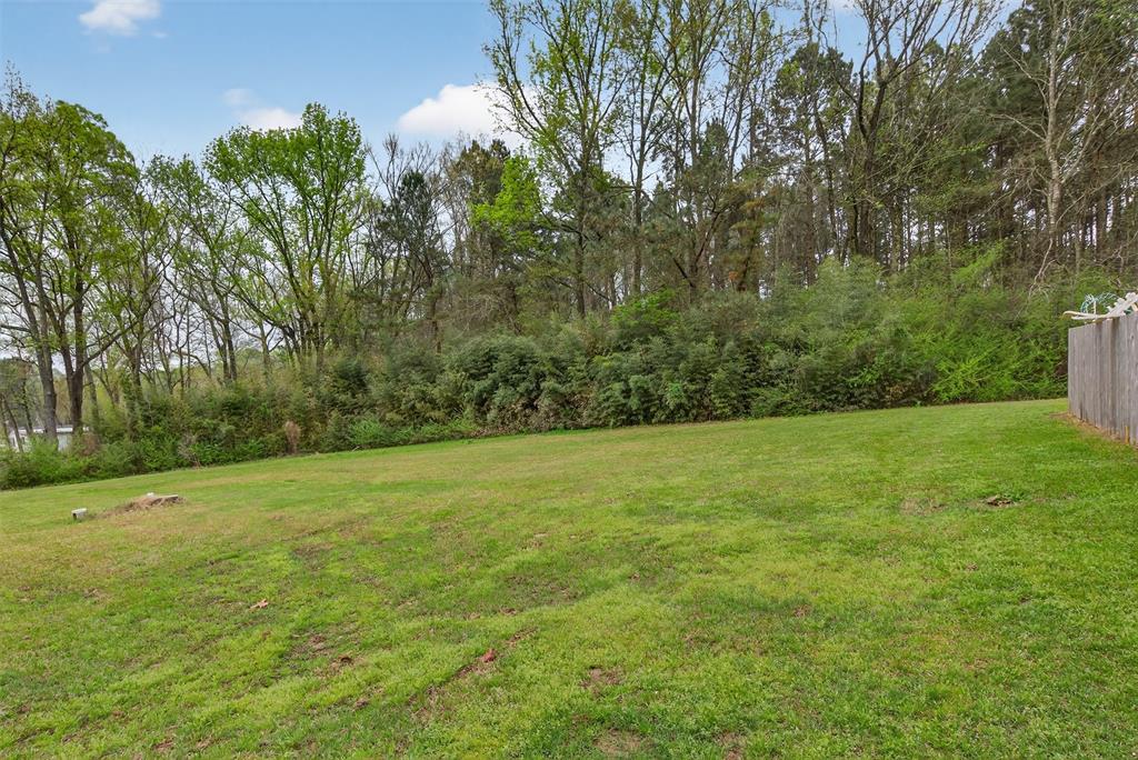 1202 Princeton Road Princeton, LA 71067 - Photo 32 of 32 a view of a field with trees