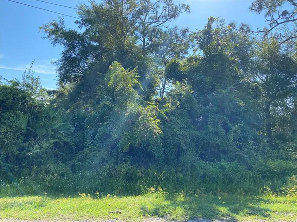 $35,000 | Morgan Paper Street, Lake Helen, FL 32744