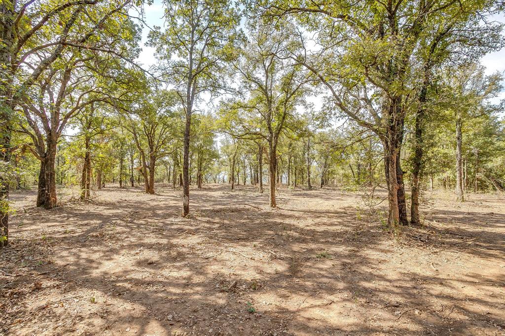 Tbd Lot 18.2 Tbd Road Gordon, TX 76453 - Photo 24 of 40 a fire hydrant in the middle of a field