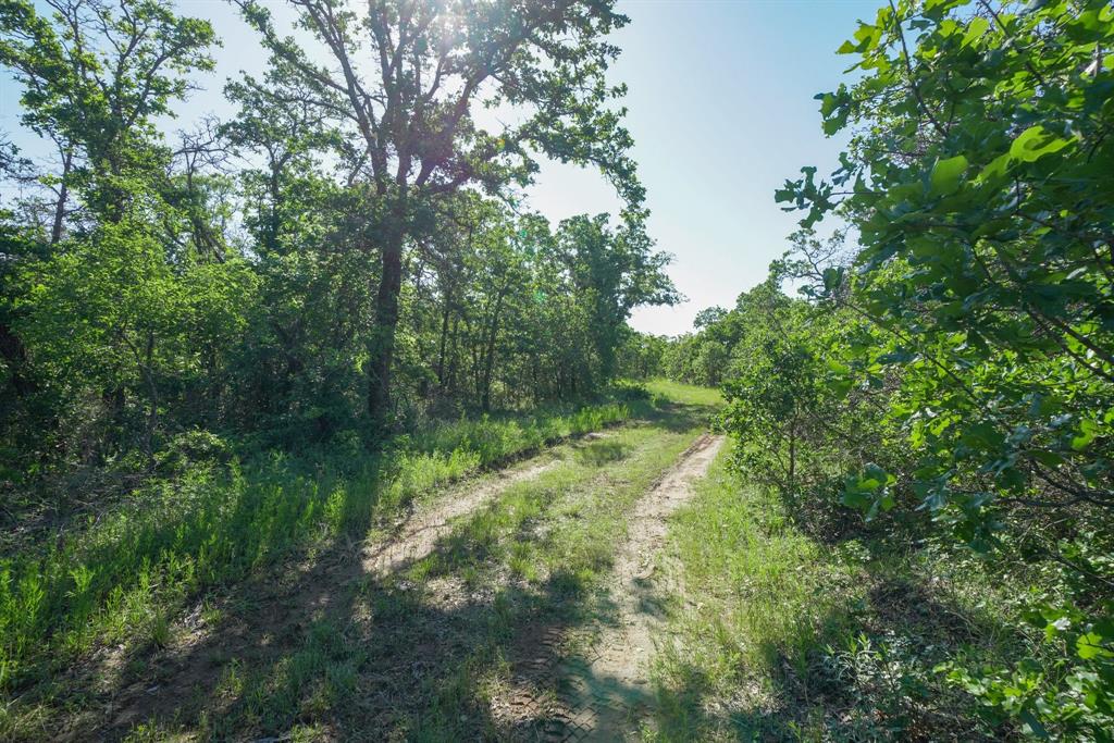 Tbd Lot 18.2 Tbd Road Gordon, TX 76453 - Photo 7 of 40 a yard with large trees and plants