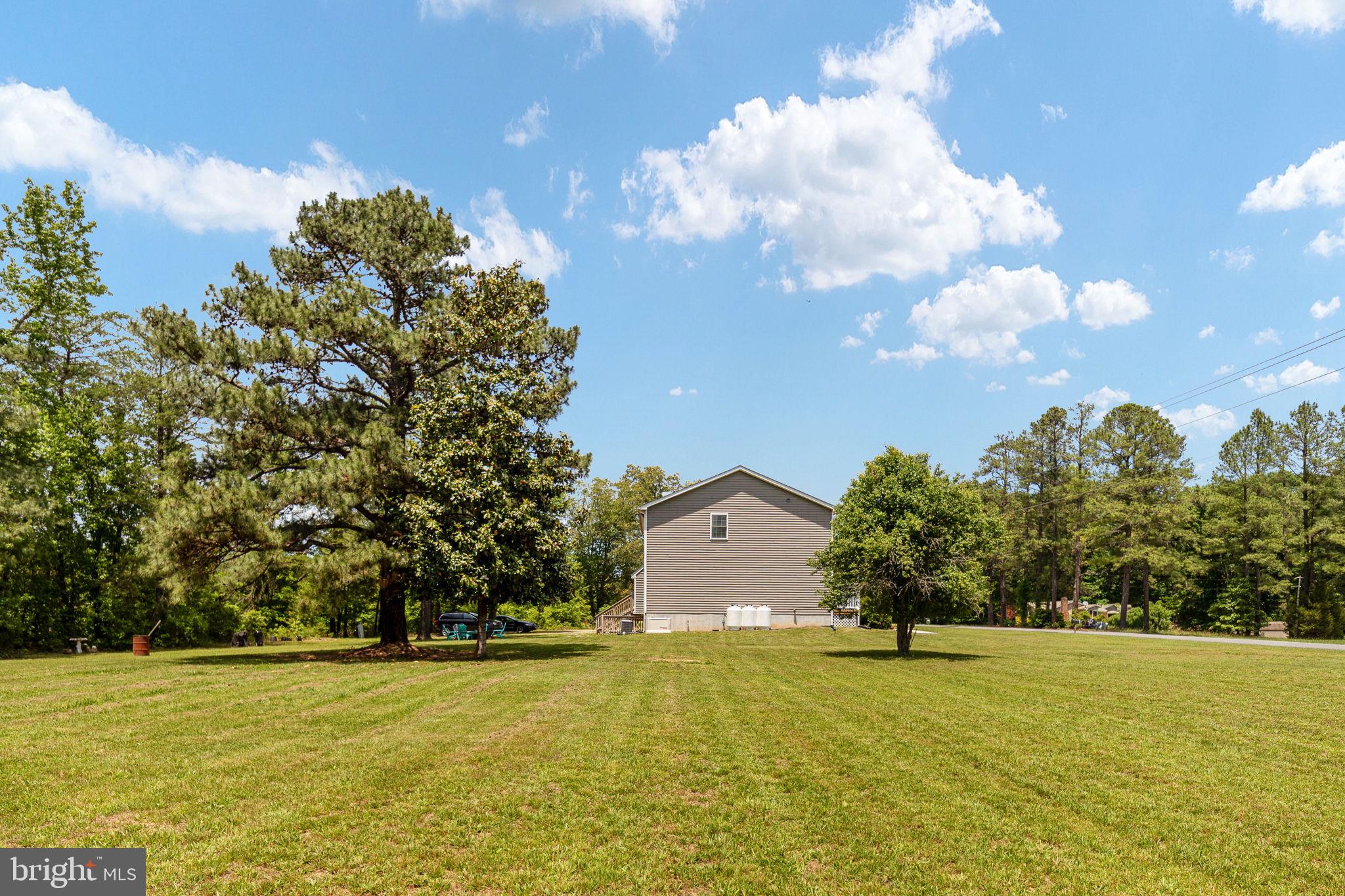 22088 Landora Bridge Road Ruther Glen, VA 22546 - Photo 105 of 122 Spacious yard with serene backdrop.