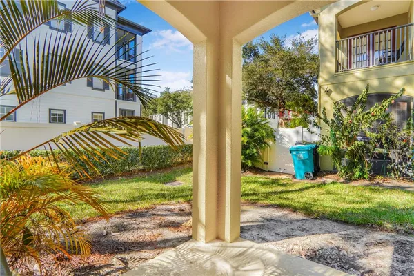 a view of a tree in a yard