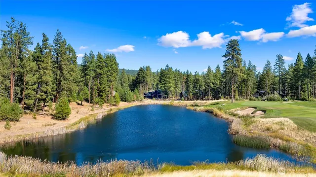 a view of a lake with houses in the background