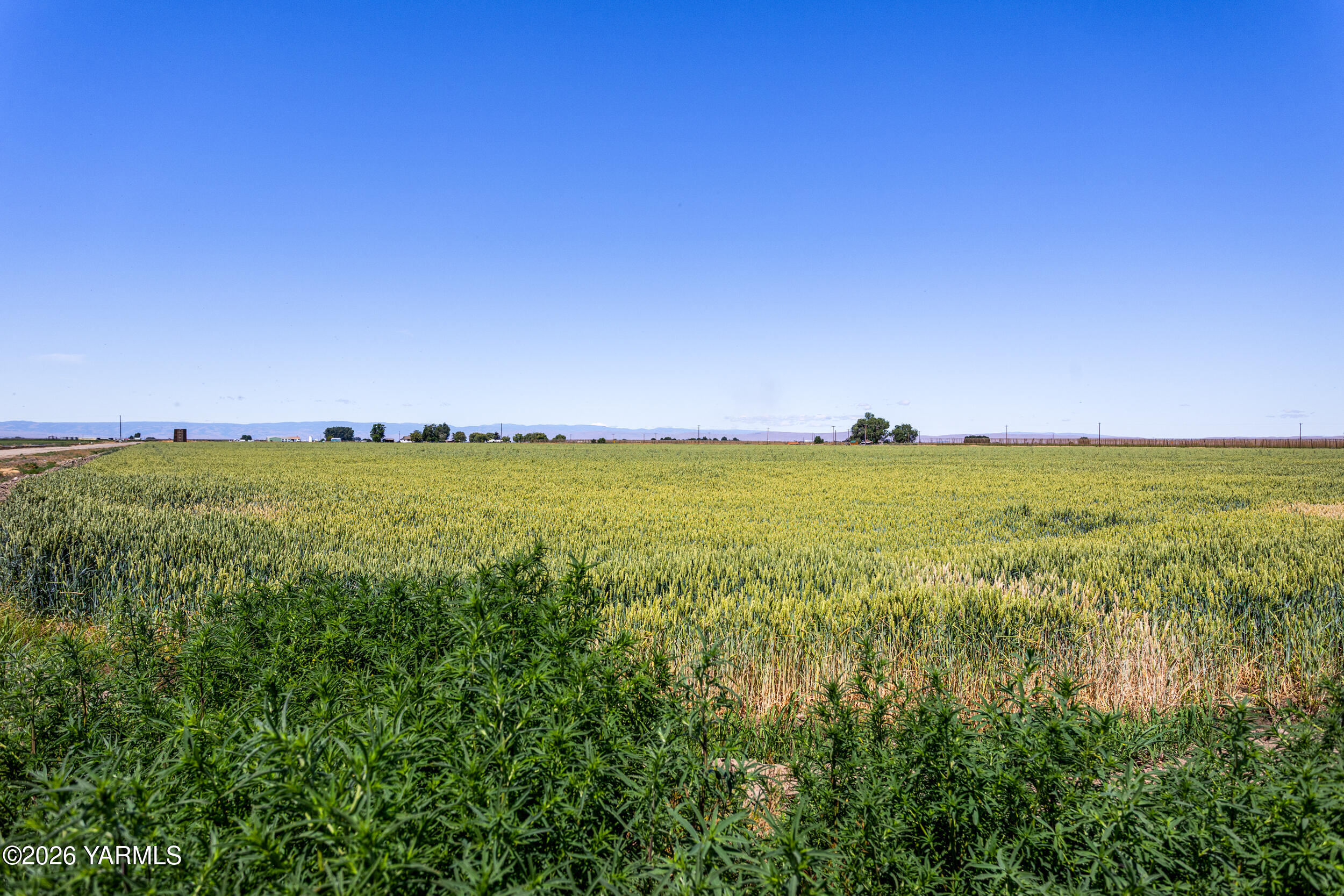 Nka Nka Yost/robbins Road Toppenish, WA 98948 - Photo 4 of 24 NKA Yost/Robbins Rd