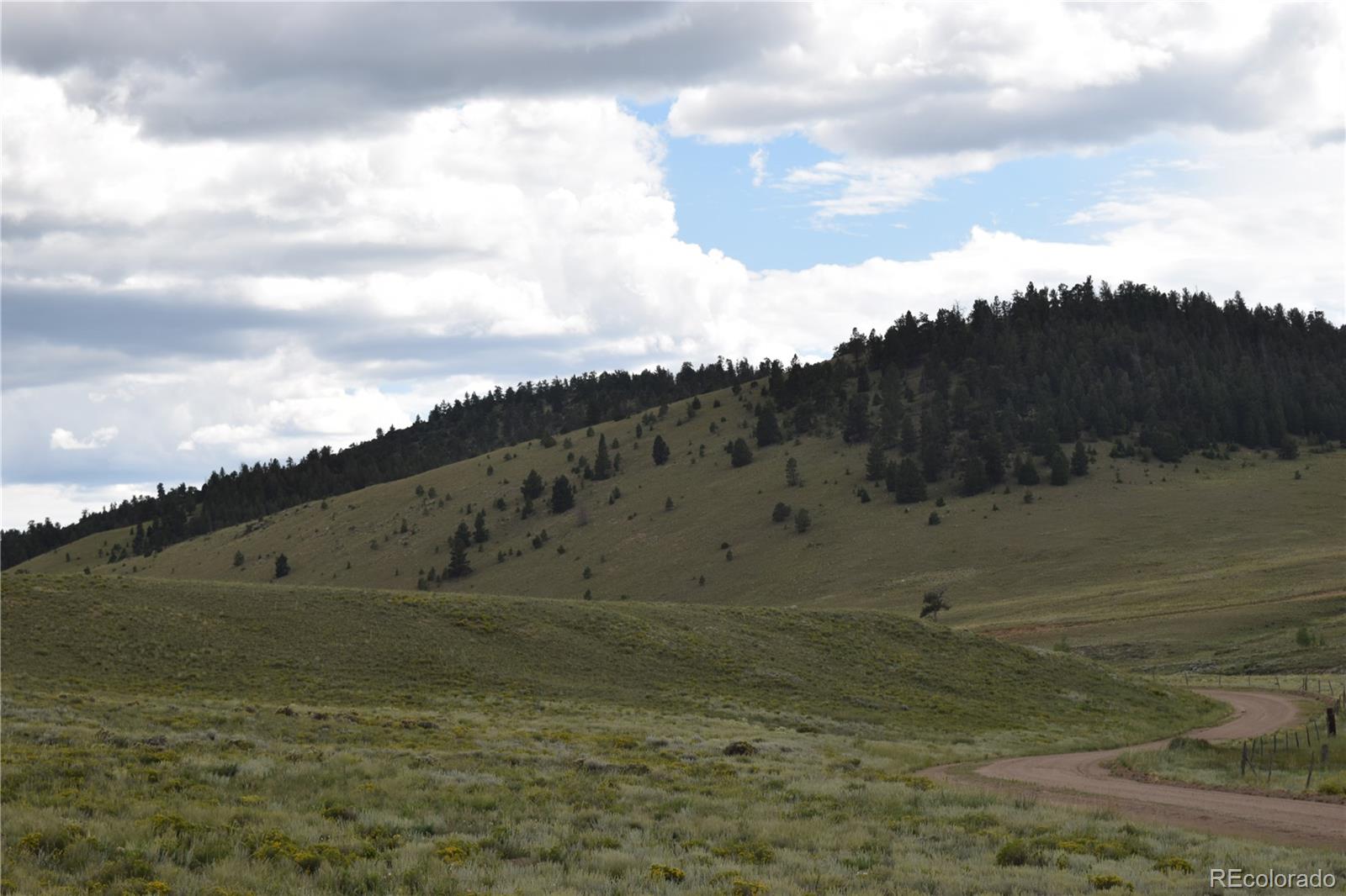 368 Wagon Wheel Road Hartsel, CO 80449 - Photo 1 of 10 Gallery Image 1