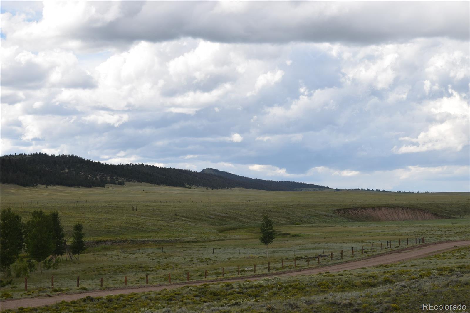 368 Wagon Wheel Road Hartsel, CO 80449 - Photo 2 of 10 Gallery Image 2