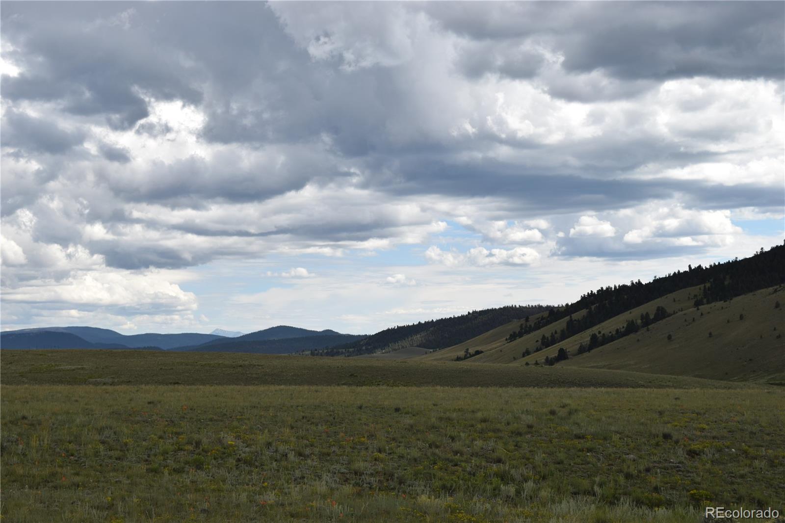 368 Wagon Wheel Road Hartsel, CO 80449 - Photo 3 of 10 Gallery Image 3