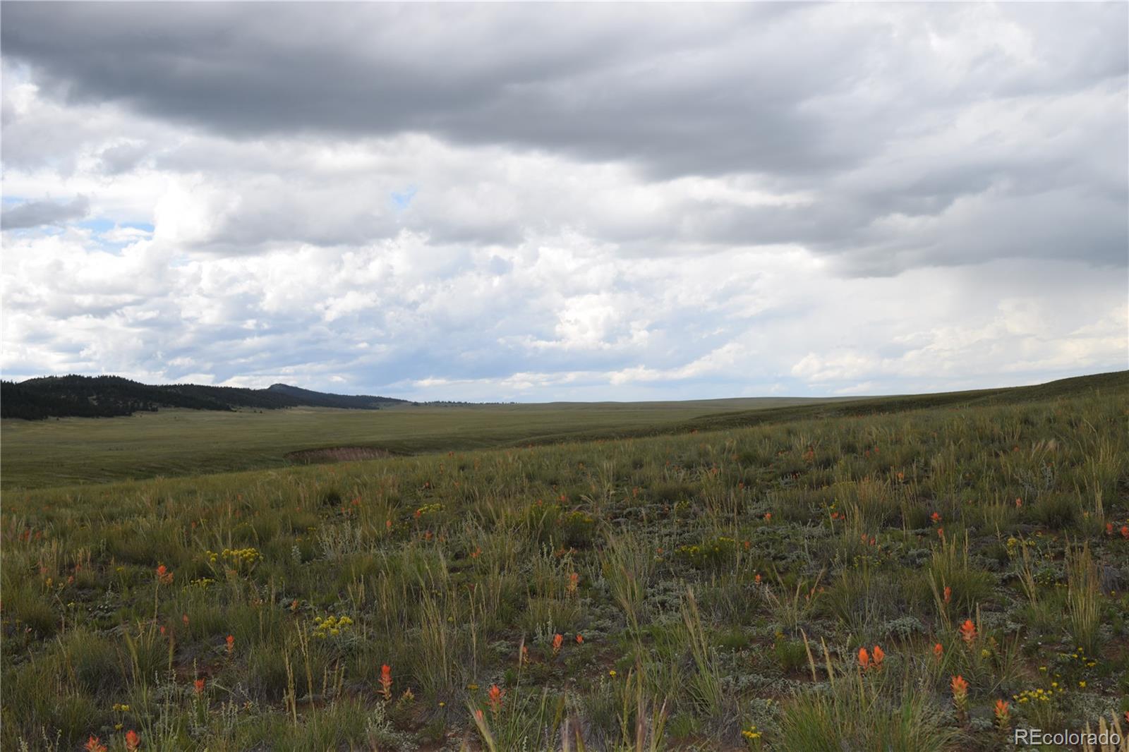 368 Wagon Wheel Road Hartsel, CO 80449 - Photo 5 of 10 Gallery Image 5