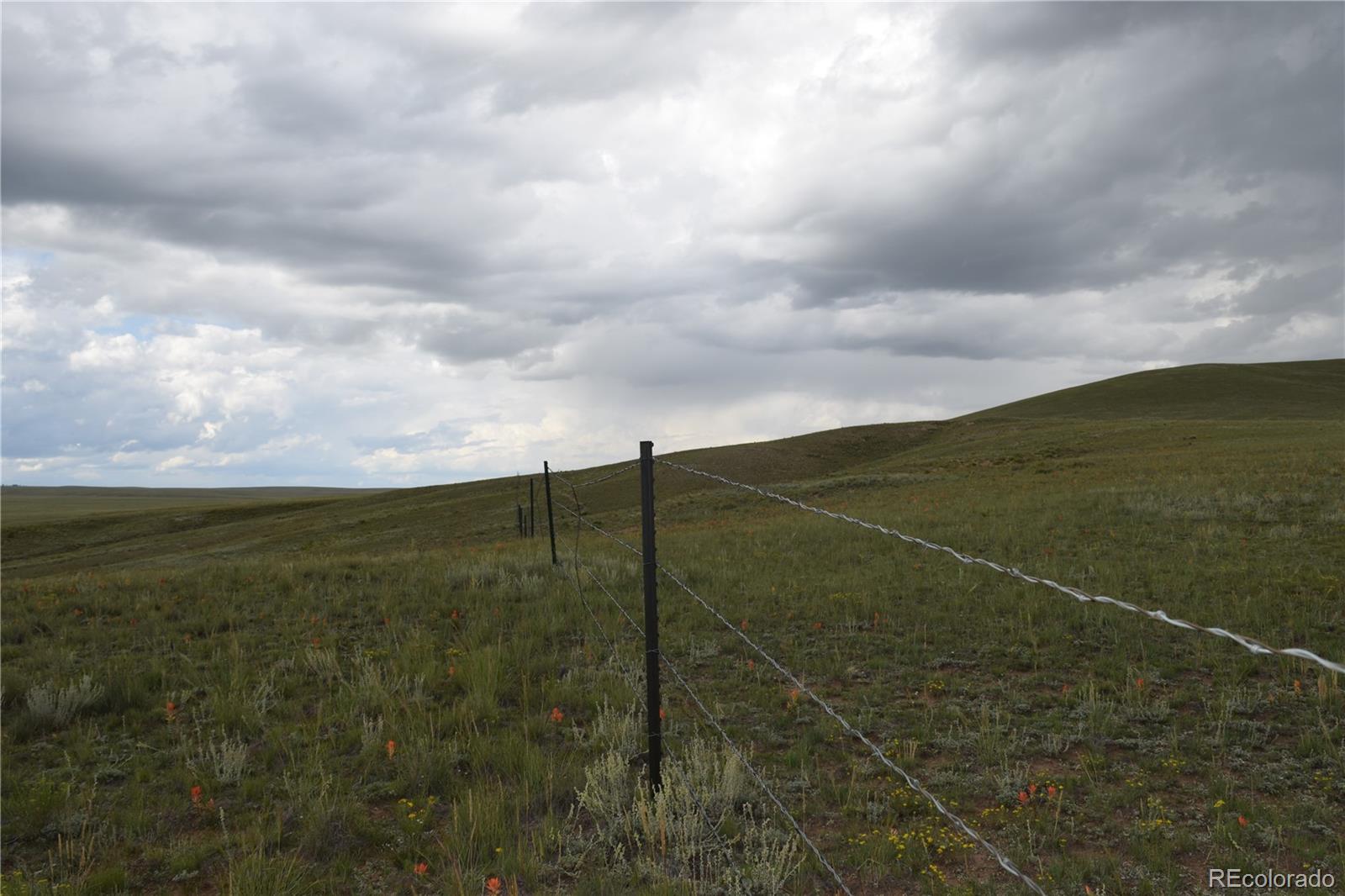 368 Wagon Wheel Road Hartsel, CO 80449 - Photo 6 of 10 Gallery Image 6