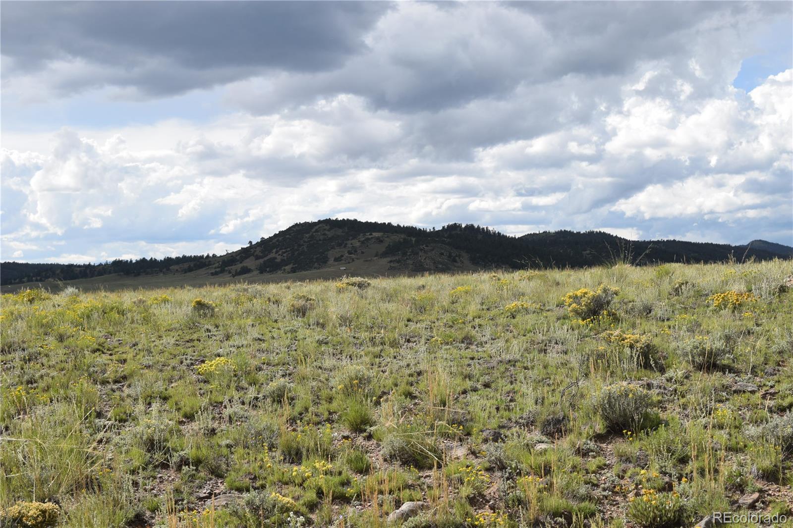 368 Wagon Wheel Road Hartsel, CO 80449 - Photo 7 of 10 Gallery Image 7