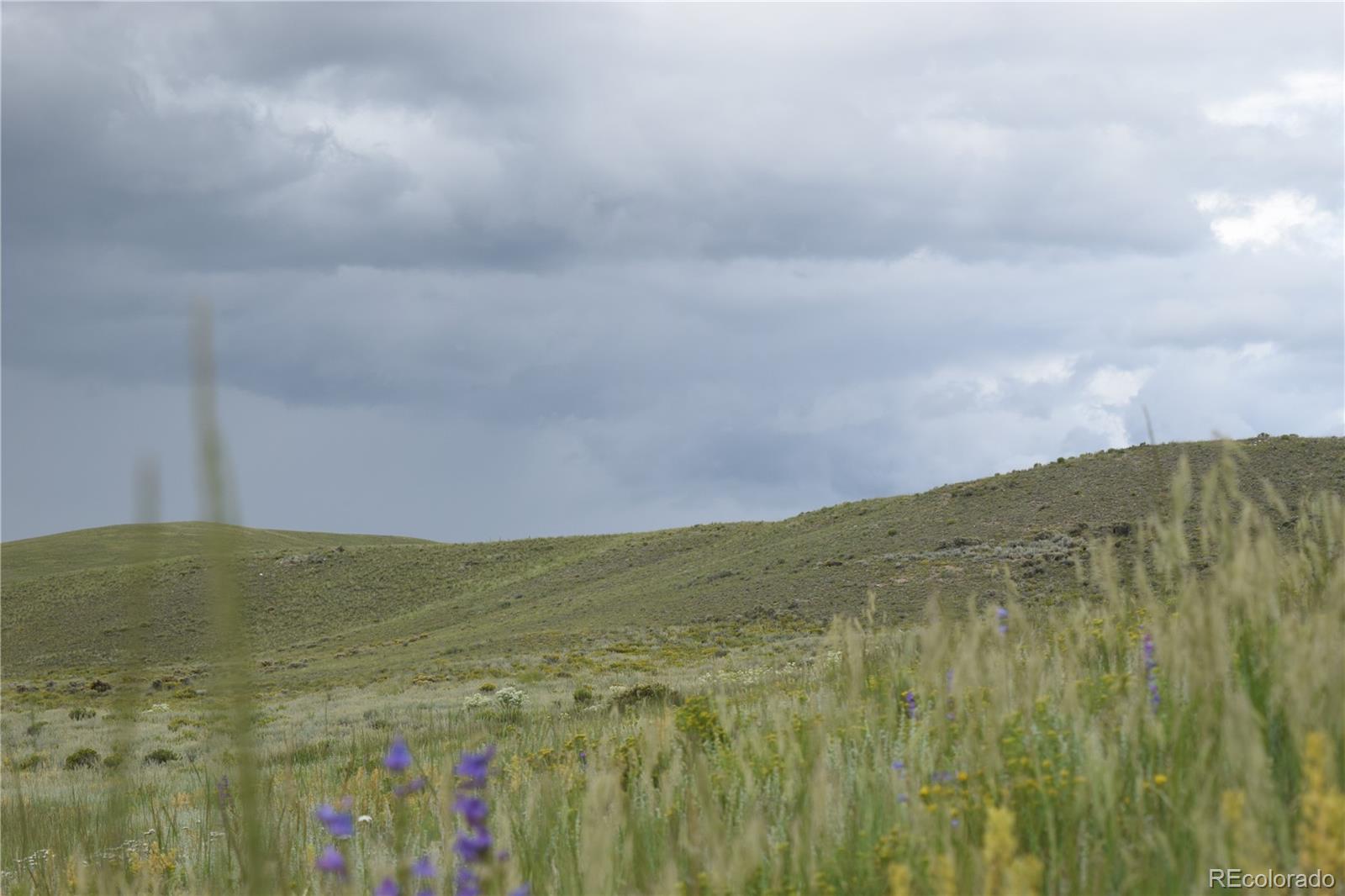368 Wagon Wheel Road Hartsel, CO 80449 - Photo 8 of 10 Gallery Image 8