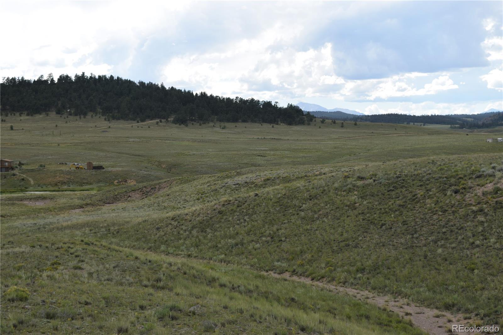 368 Wagon Wheel Road Hartsel, CO 80449 - Photo 9 of 10 Gallery Image 9