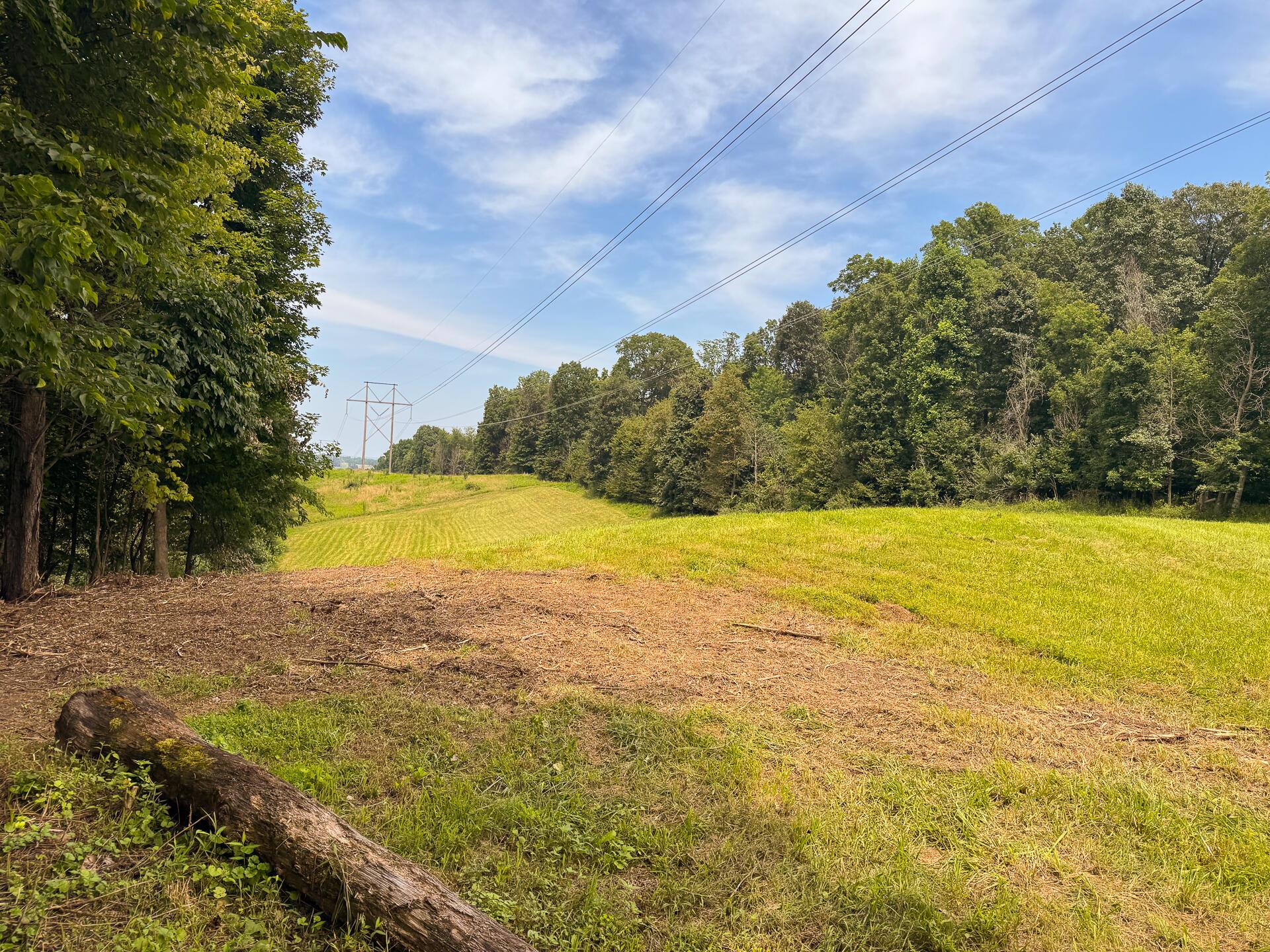 16487 Flint Ridge Road, Unit LOT L WOODS FLINT RIDGE) Newark, OH 43056 - Photo 19 of 39 CT-19