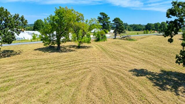 0 Mountain Ridge Road Noel, MO 64854 - Photo 1 of 3 pineville3