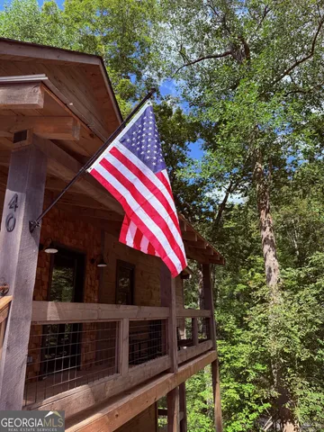 a view of under a large tree