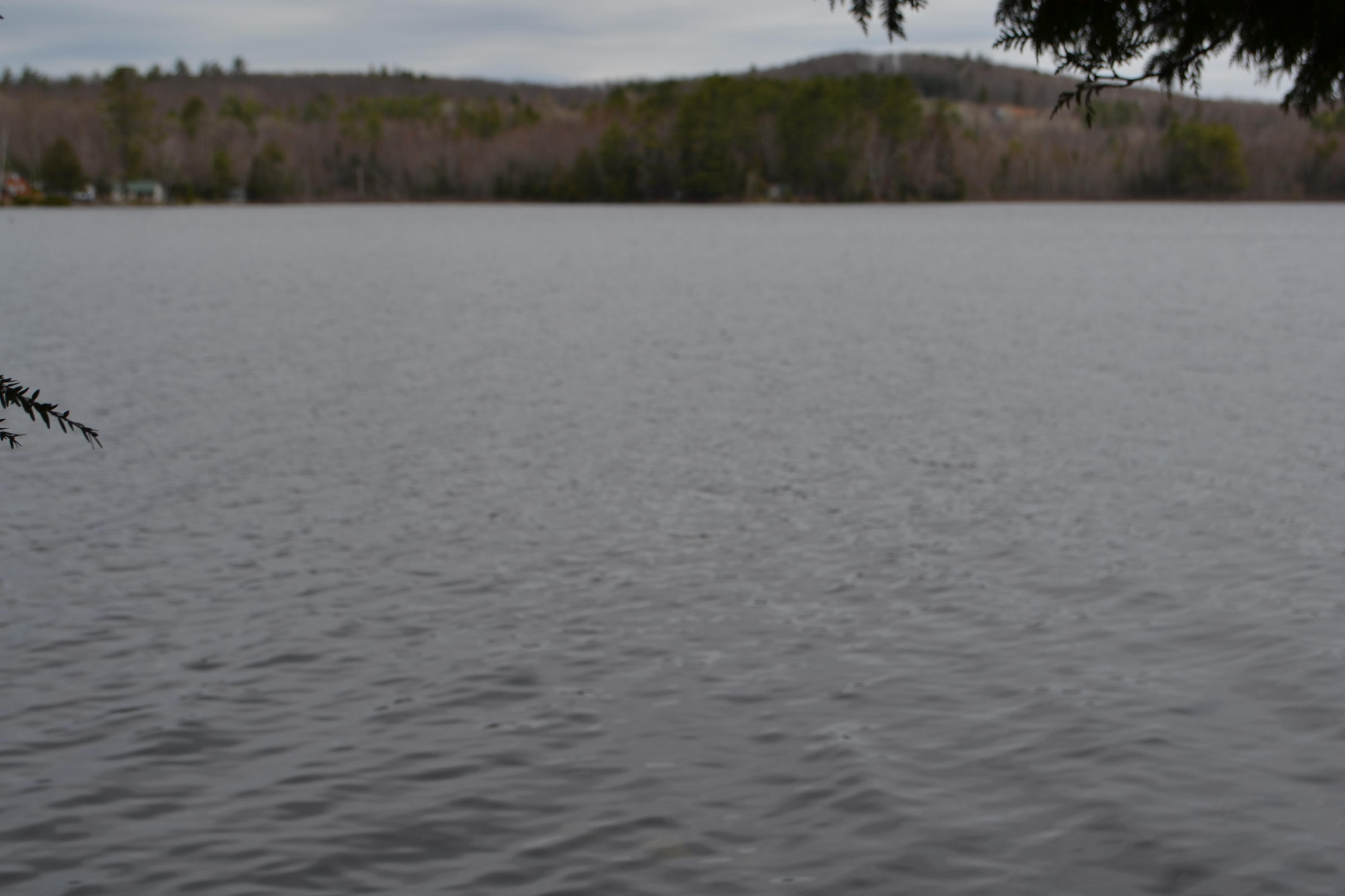 1 Morrill Pond Road Hartland, ME 04943 - Photo 2 of 15 Pond