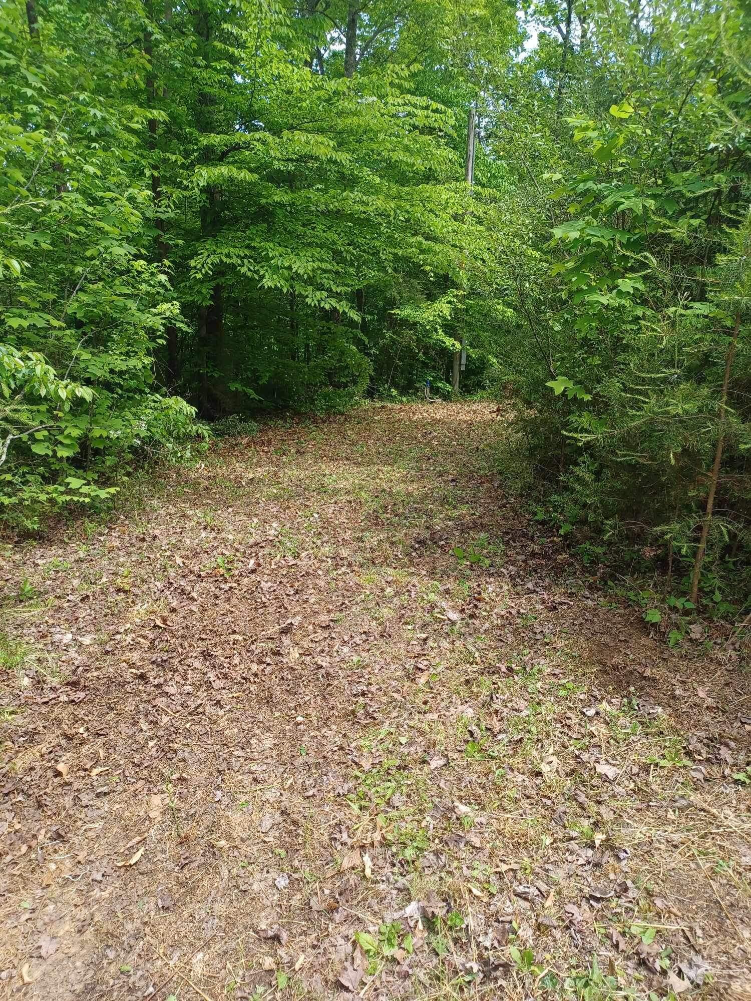 325 Spring Branch Road Nancy, KY 42544 - Photo 13 of 16 A9788613-2446-45F8-B3DE-1150CD864AB6