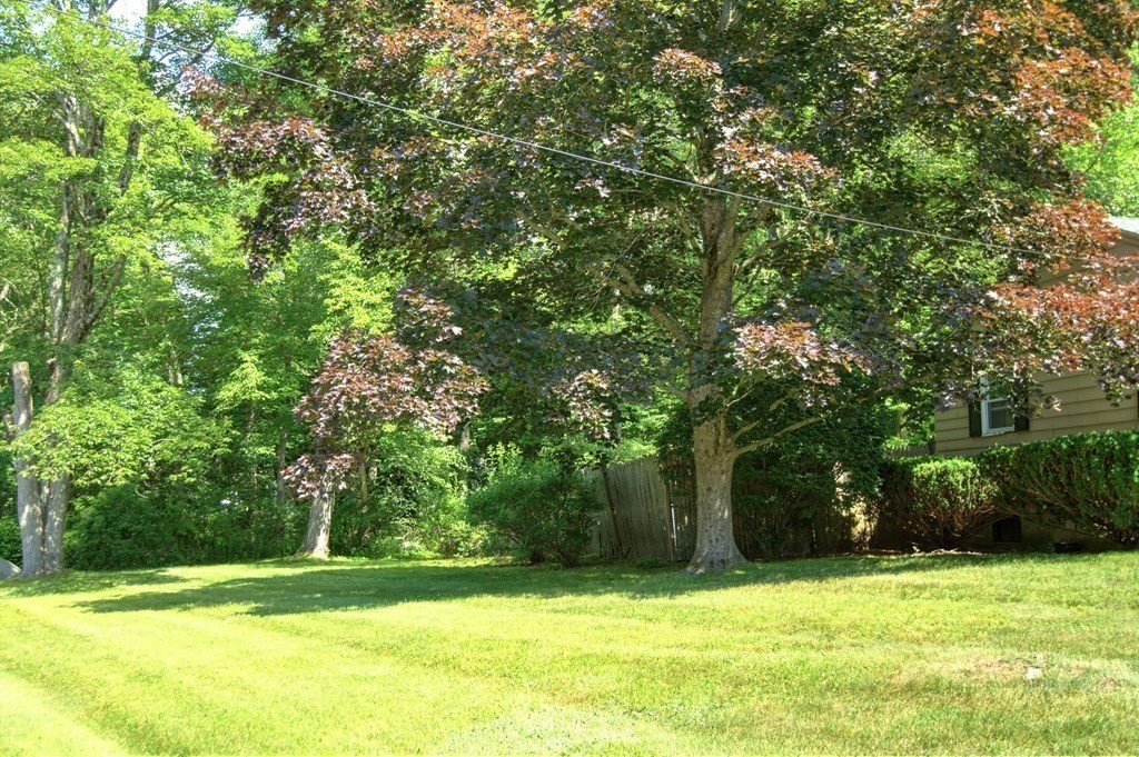 4 Garland Road Chelmsford, MA 01824 - Photo 35 of 40