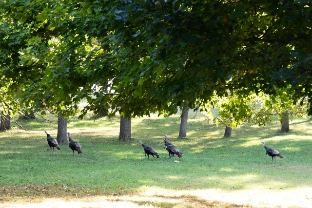 $1,285,000 | 254 County Road 2500 East, Hudson, IL 61748