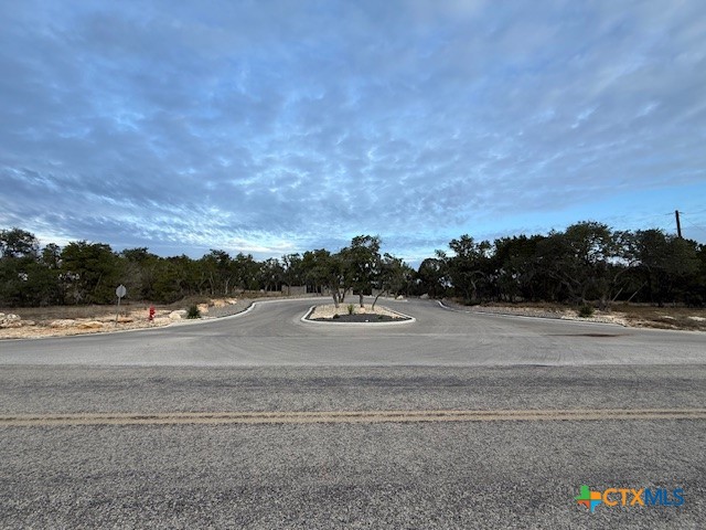 160 Restless Wind Spring Branch, TX 78070 - Photo 5 of 17
