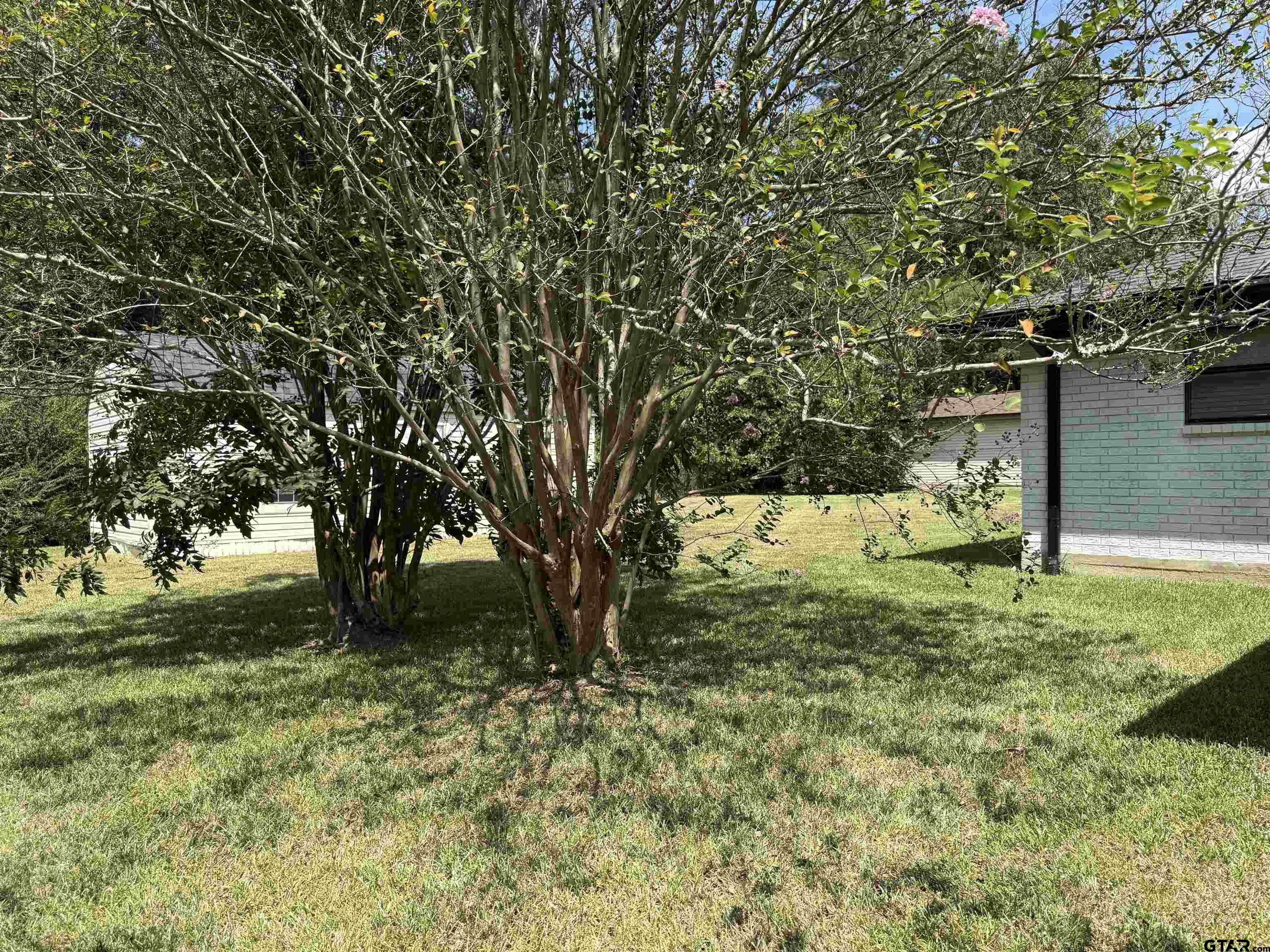 608 Pine Street Henderson, TX 75654 - Photo 23 of 46 a view of a yard with a tree
