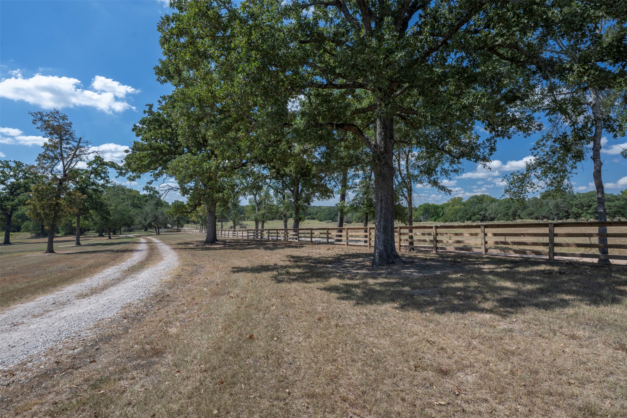 5960 Schoenau Road Brenham, TX 77833 - Photo 39 of 45 Gallery Image 39