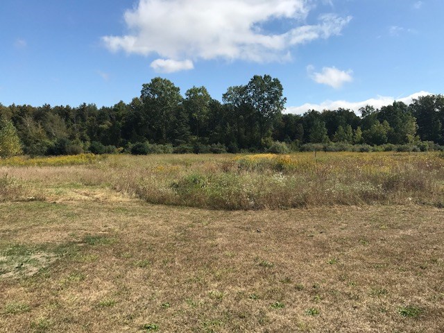 1155 South Luce Road Ithaca, MI 48847 - Photo 19 of 19 1837091-18.JPG