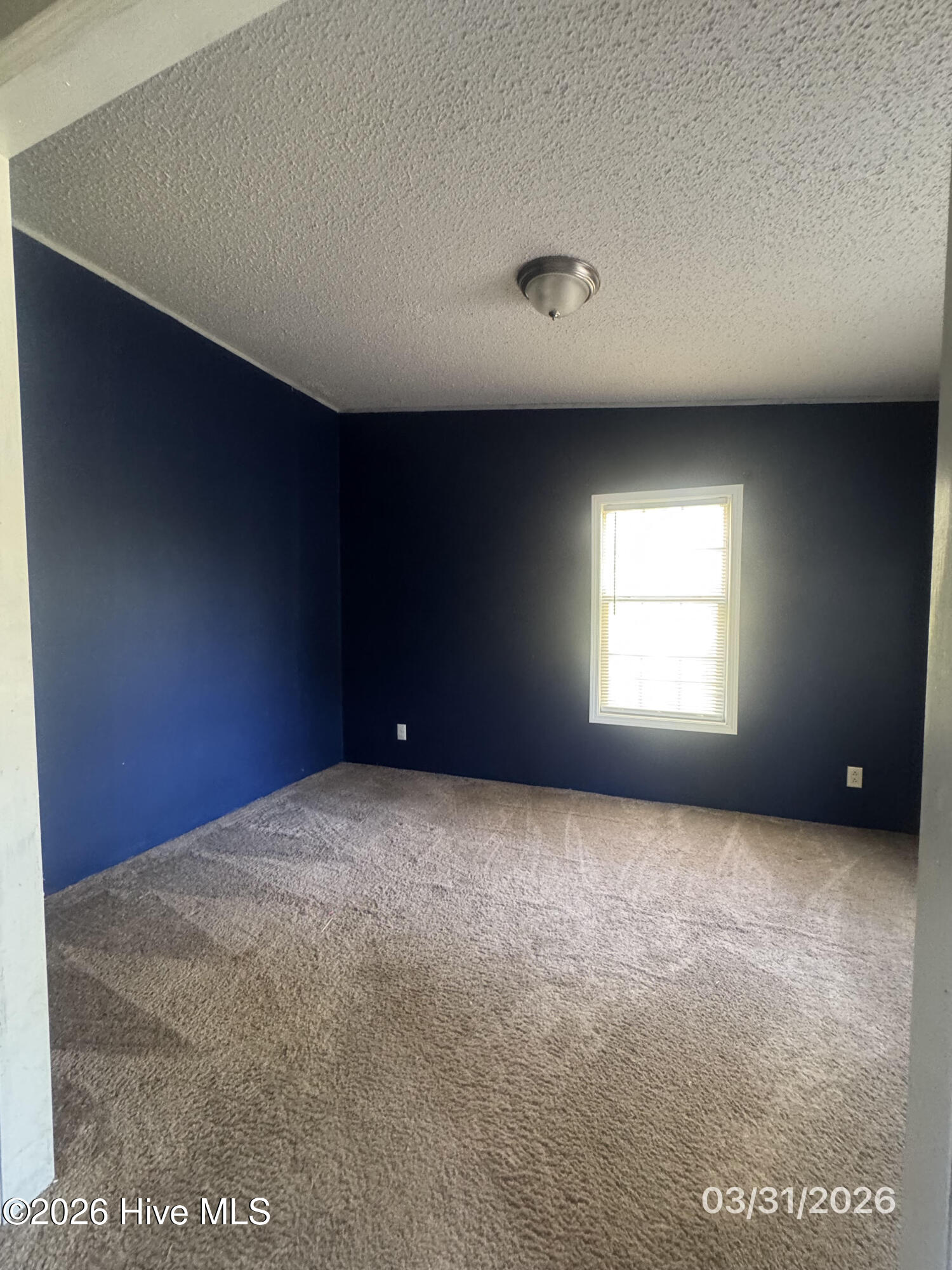 210 Haws Run Road Jacksonville, NC 28540 - Photo 9 of 21 unnamed (17)
