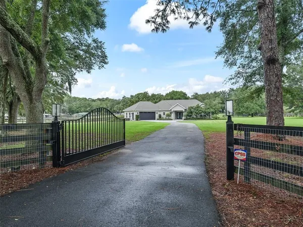 a view of a park with large trees