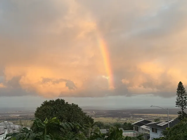 a view of a house with a small yard and a garden