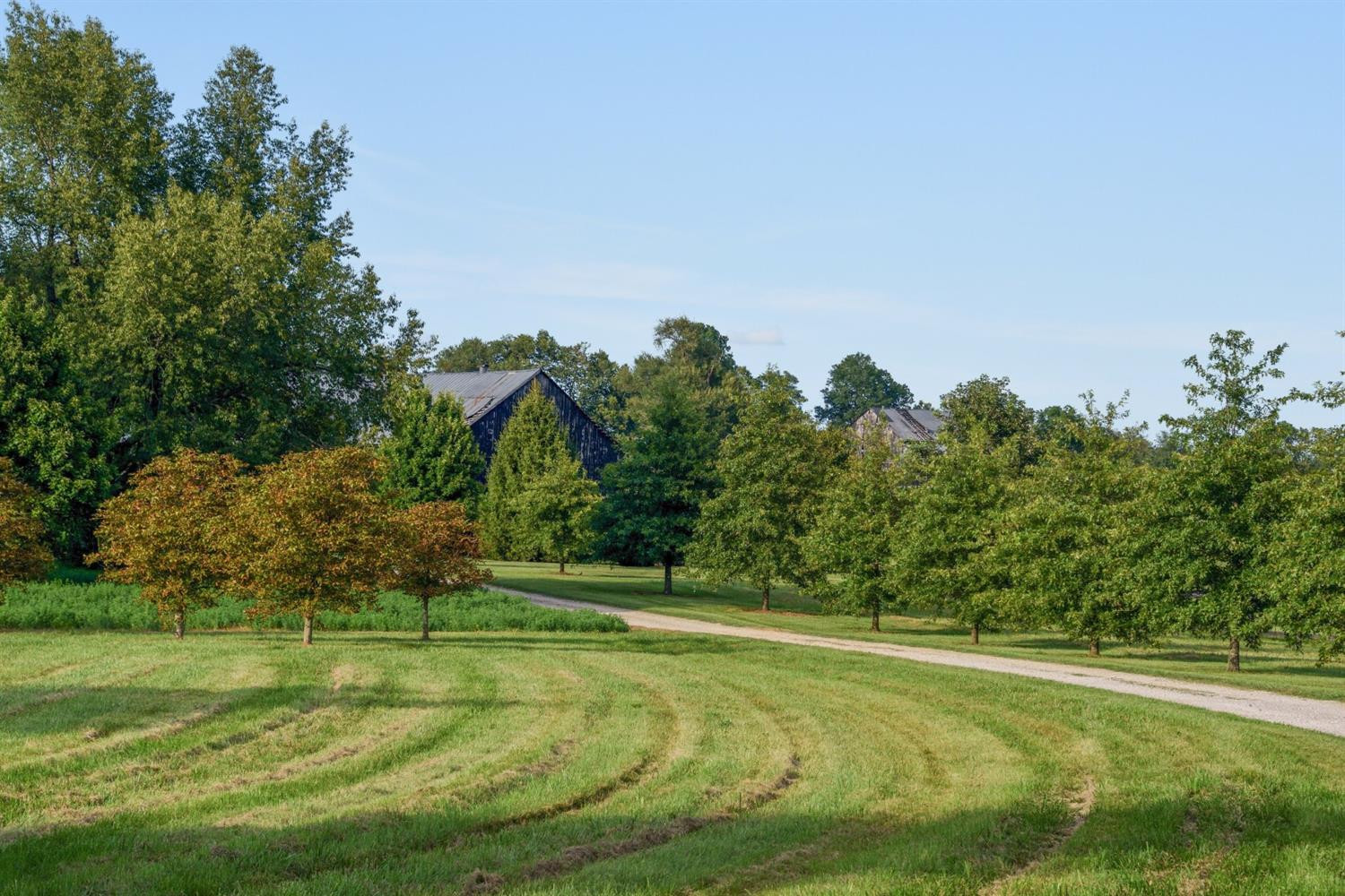 5685 Sulphur Wl Road Lexington, KY 40509 - Photo 6 of 34 Photo 6