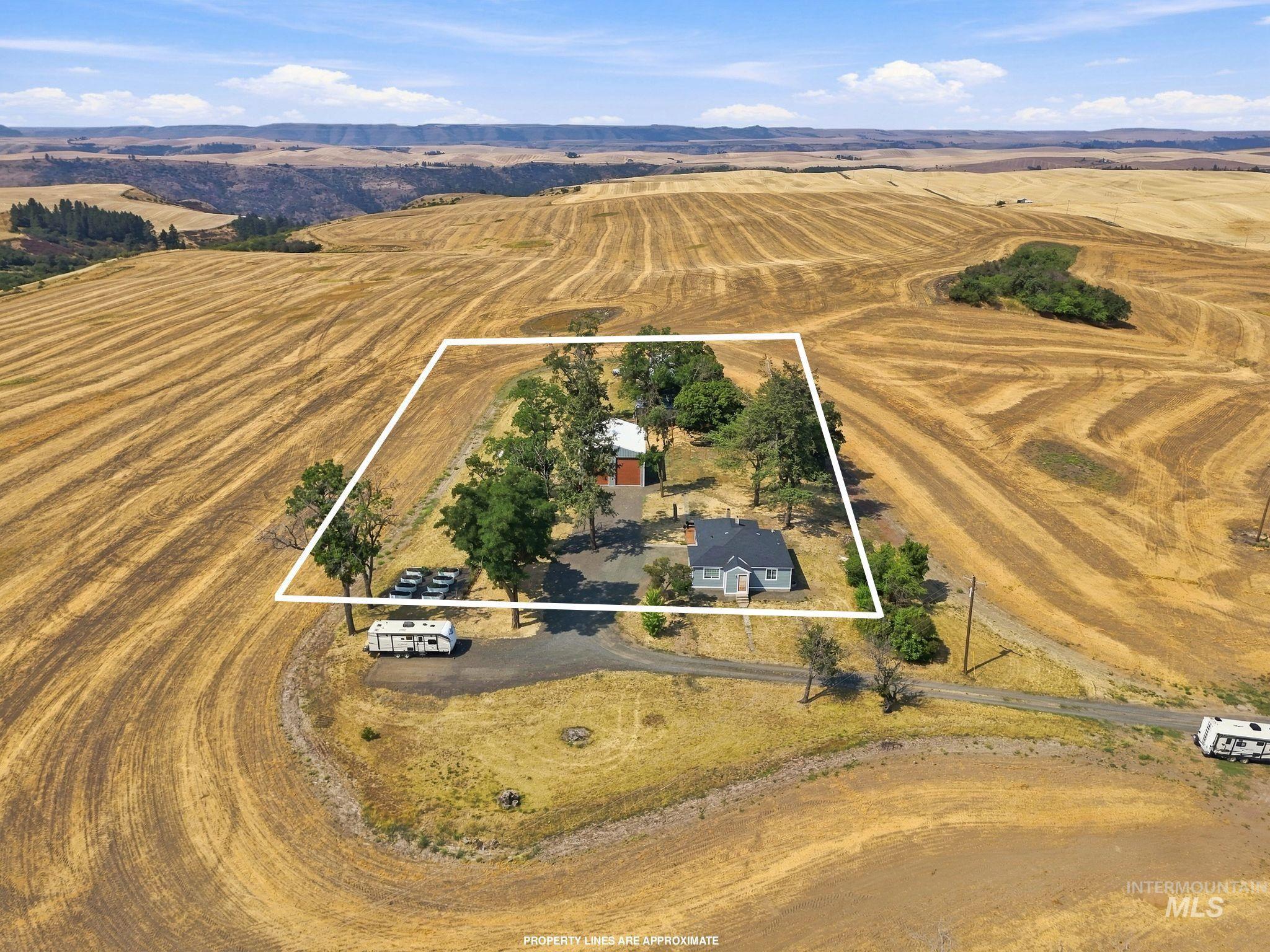 16078 Hoffman Road Kendrick, ID 83537 - Photo 45 of 47 Single-story residence with a gray exterior and white trim, set amidst mature trees