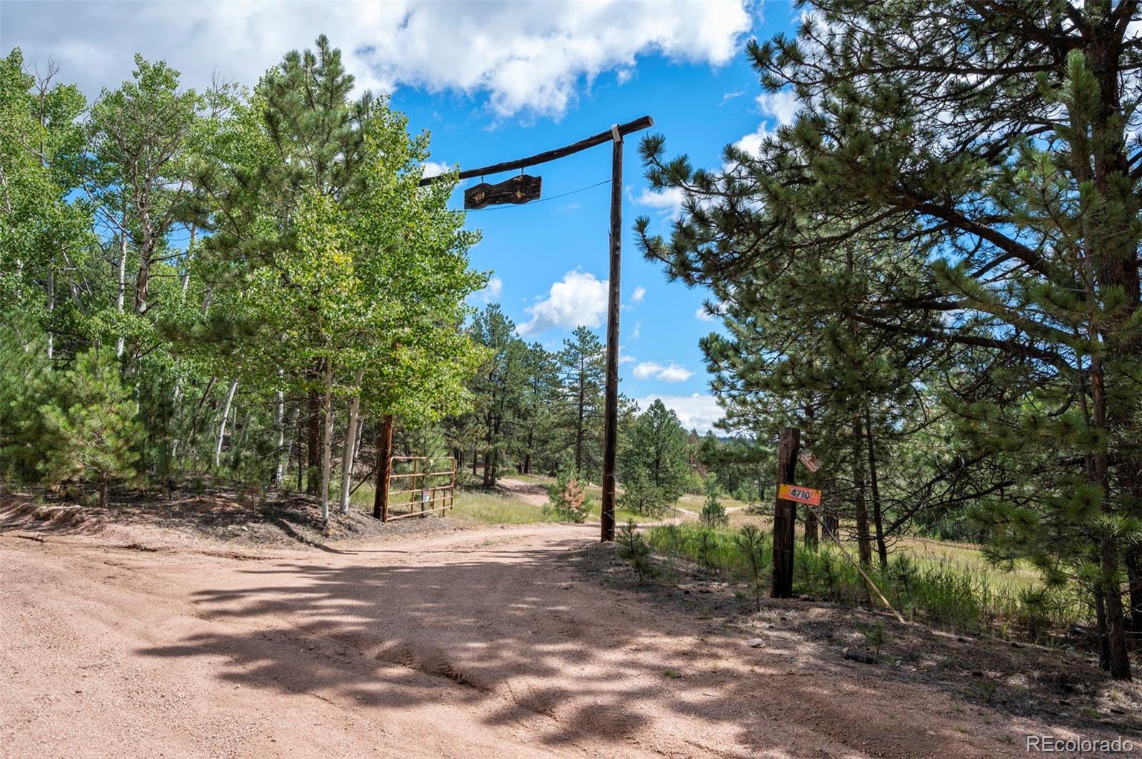 4710 Wildhorn Road Florissant, CO 80816 - Photo 36 of 41