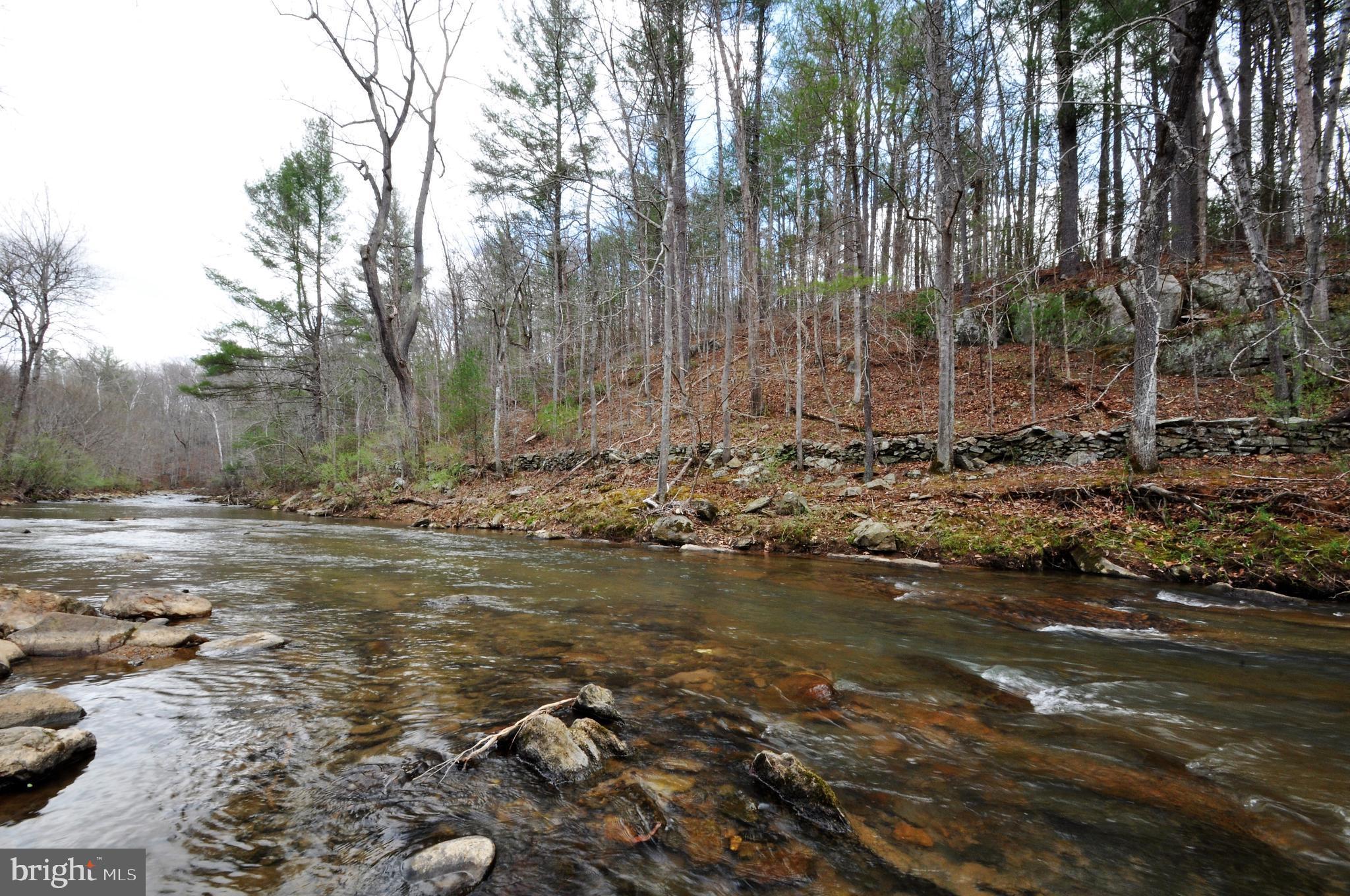 177 Grandview Road Washington, VA 22747 - Photo 3 of 22 Rush River