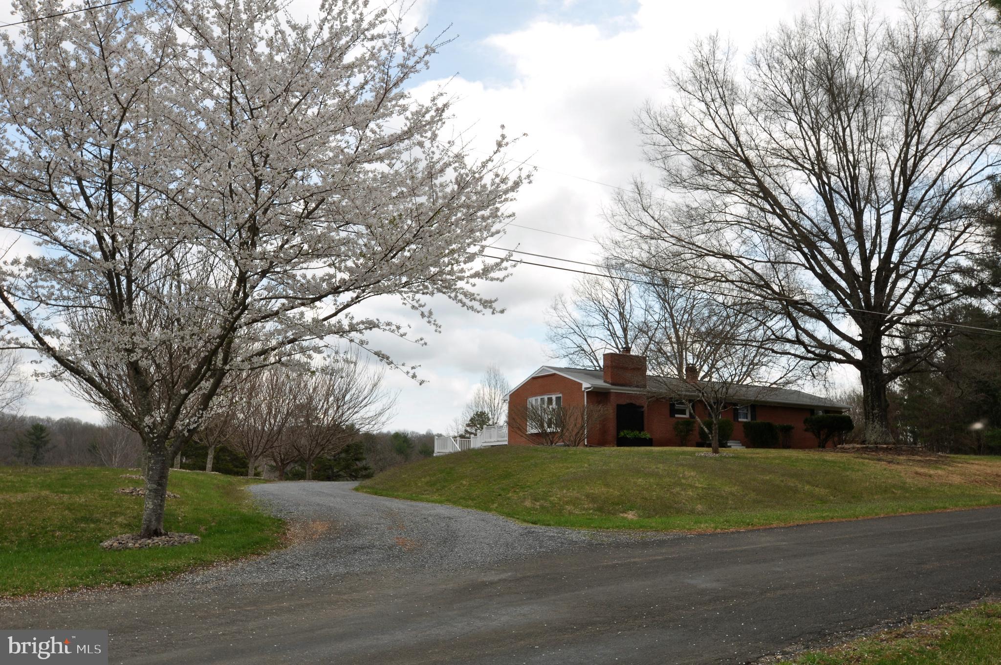 177 Grandview Road Washington, VA 22747 - Photo 22 of 22