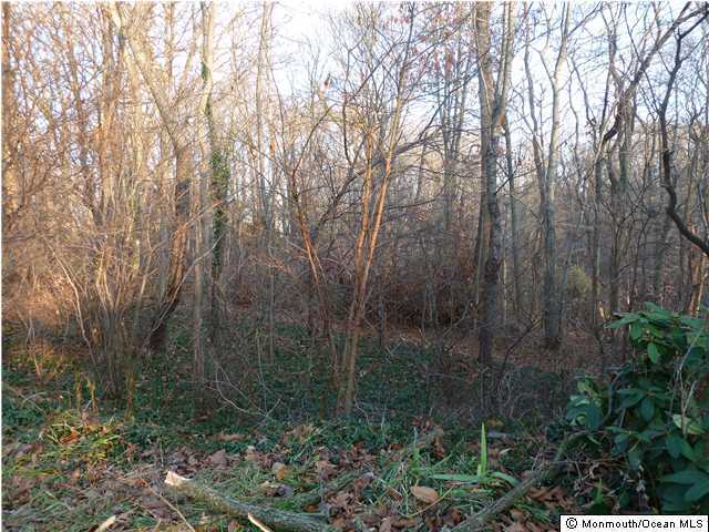 0 Stoecker Road Holmdel, NJ 07733 - Photo 1 of 2 Primary Photo